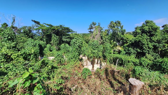 First image of 9-rose Hill Cardiff Hall in Runaway Bay, St. Ann, Jamaica - property is For Sale