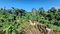 First image of 9-rose Hill Cardiff Hall in Runaway Bay, St. Ann, Jamaica - property is For Sale