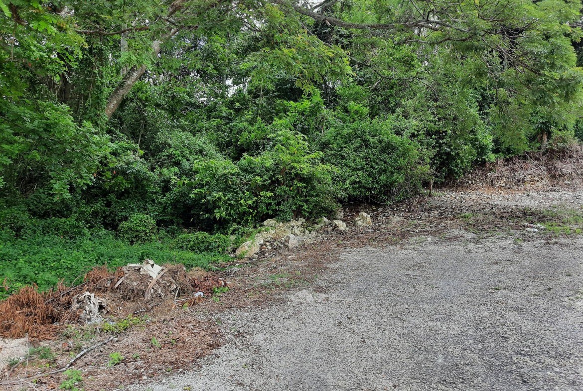 Fourth image of 10 Castleton in Balaclava Heights, St. Elizabeth, Jamaica - property is For Sale