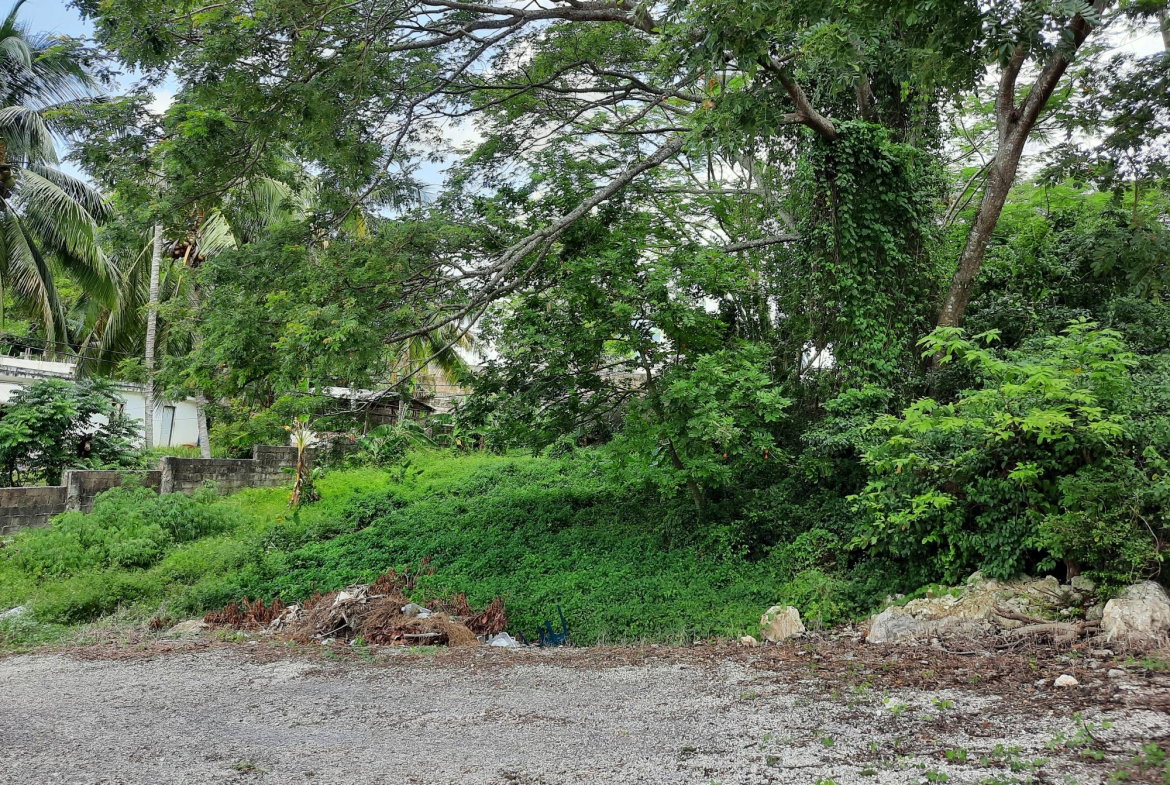 Fifth image of 10 Castleton in Balaclava Heights, St. Elizabeth, Jamaica - property is For Sale