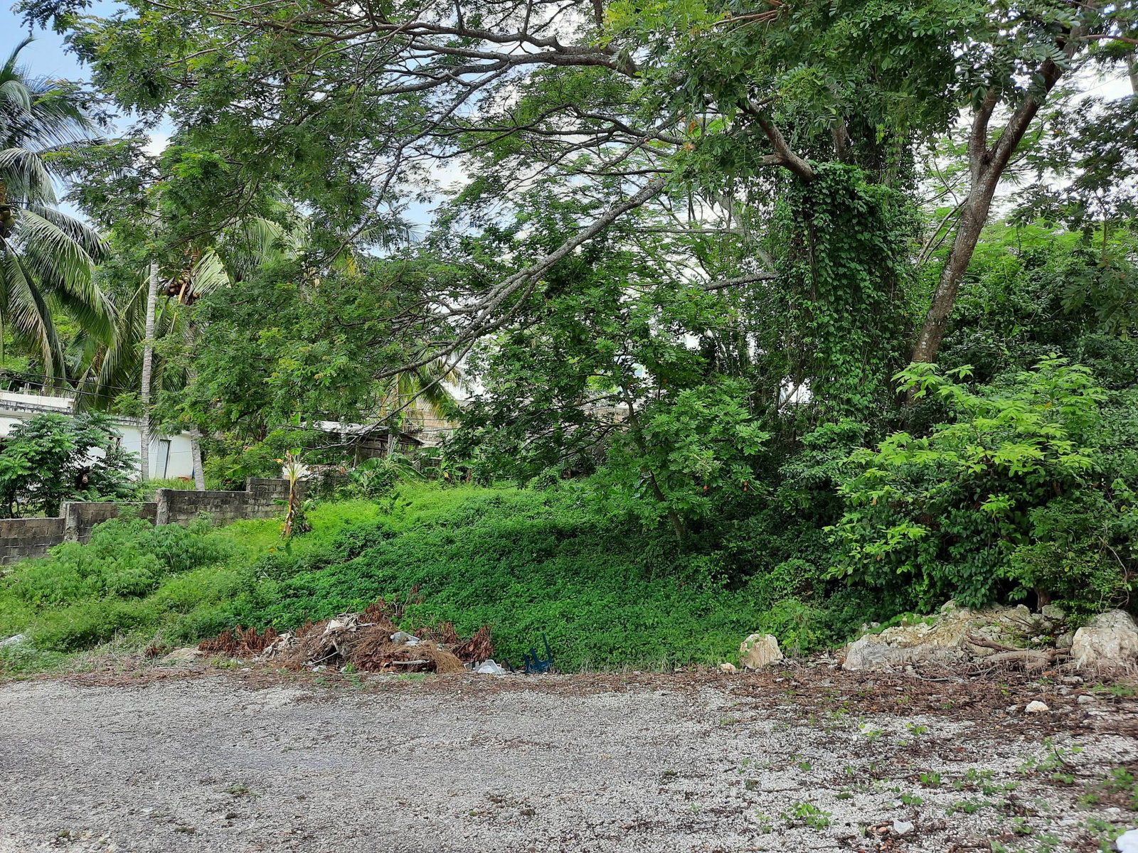 Fifth image of 10 Castleton in Balaclava Heights, St. Elizabeth, Jamaica - property is For Sale