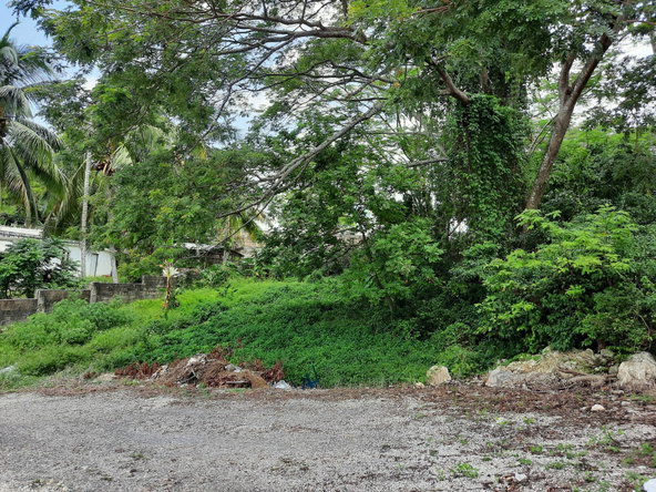 Fifth image of 10 Castleton in Balaclava Heights, St. Elizabeth, Jamaica - property is For Sale