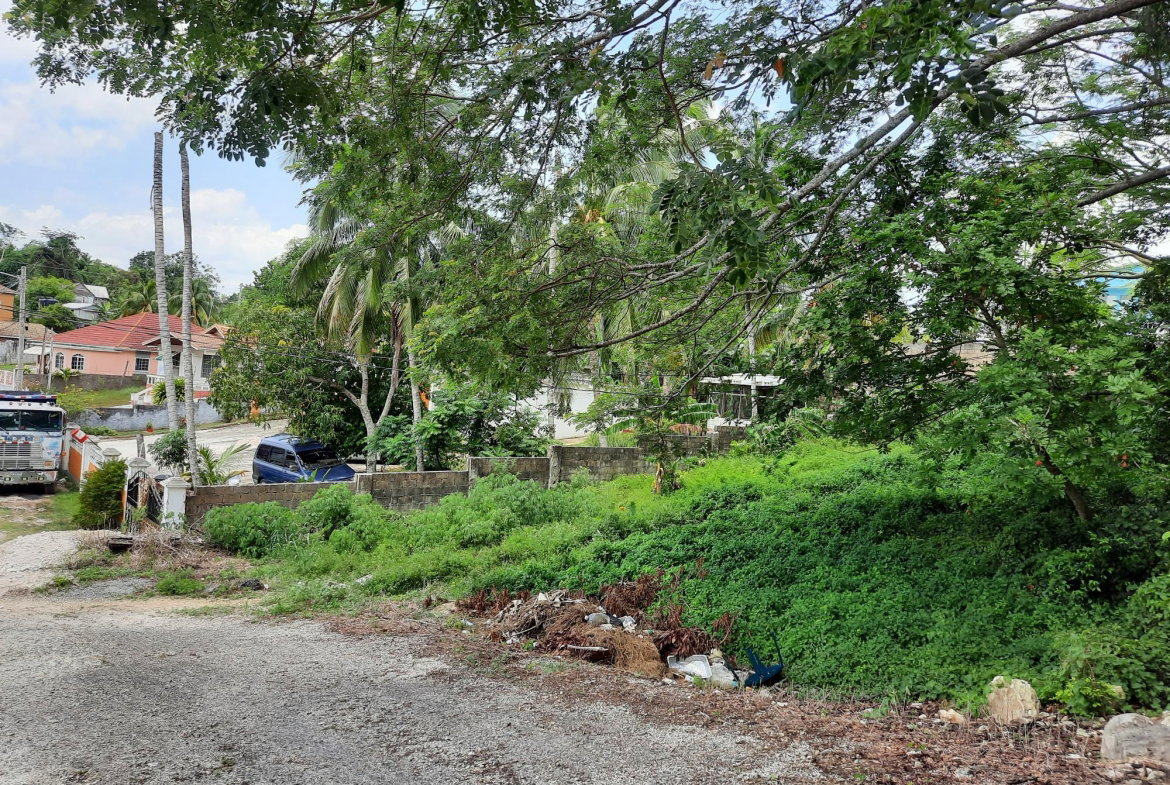 Sixth image of 10 Castleton in Balaclava Heights, St. Elizabeth, Jamaica - property is For Sale