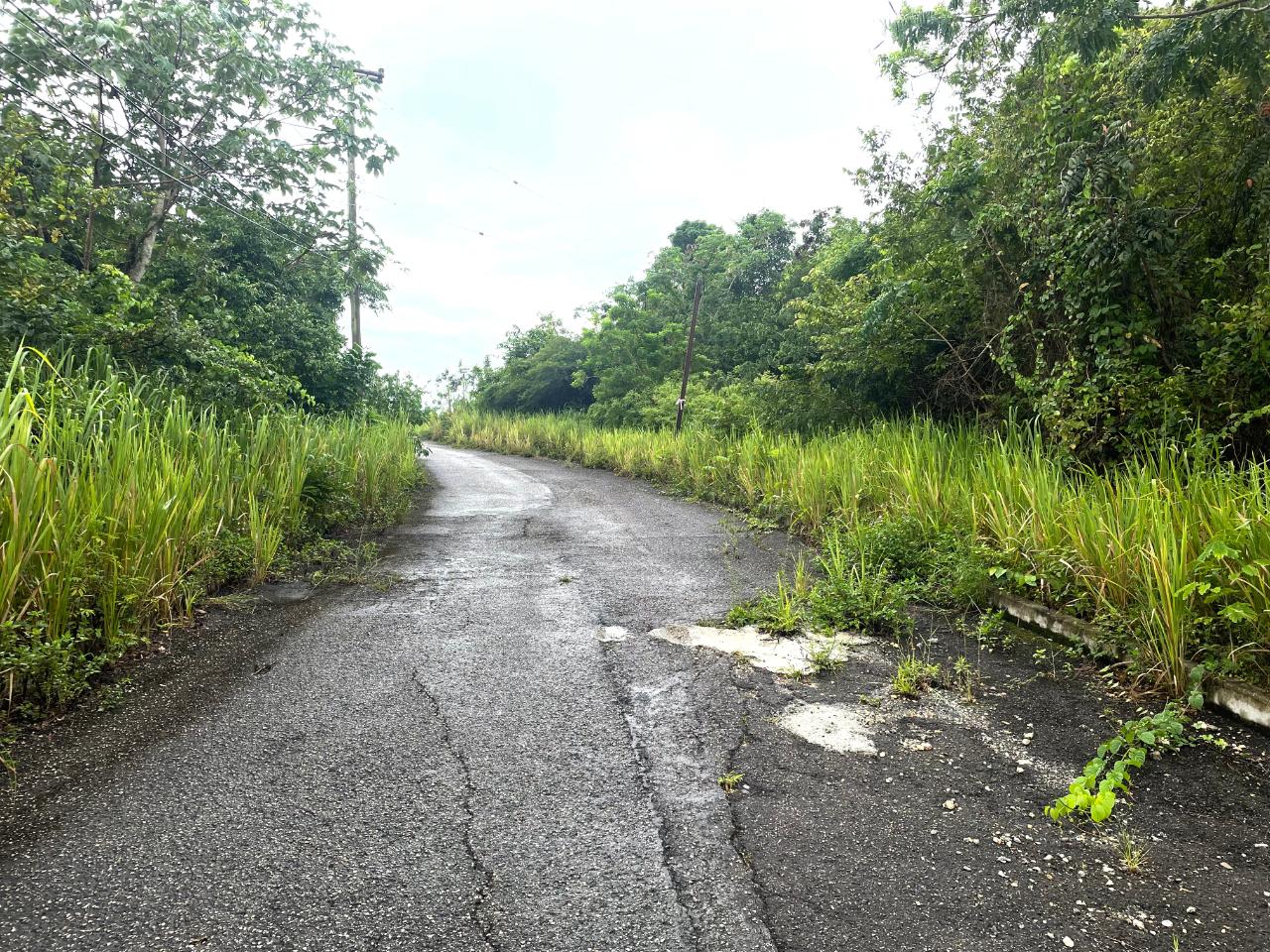 Second image of 348 Horatio Way in Kingston 19, St. Andrew, Jamaica - property is For Sale