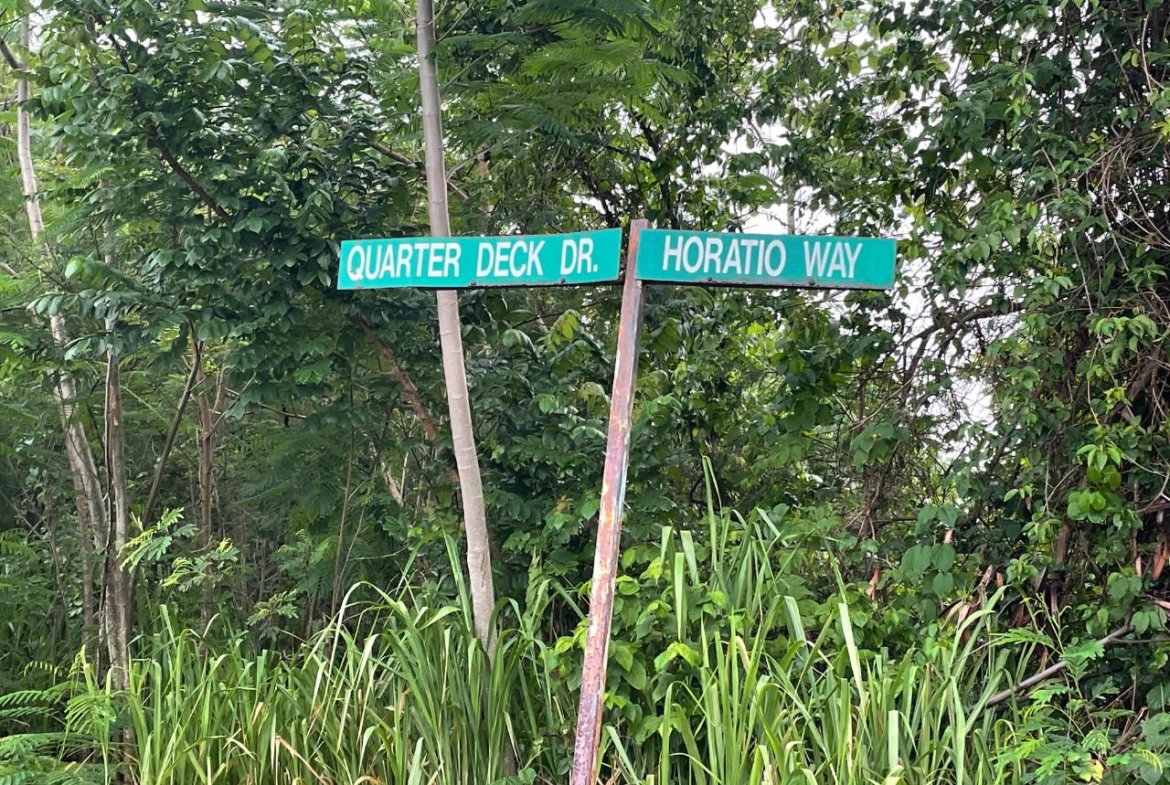 Eleventh image of 348 Horatio Way in Kingston 19, St. Andrew, Jamaica - property is For Sale