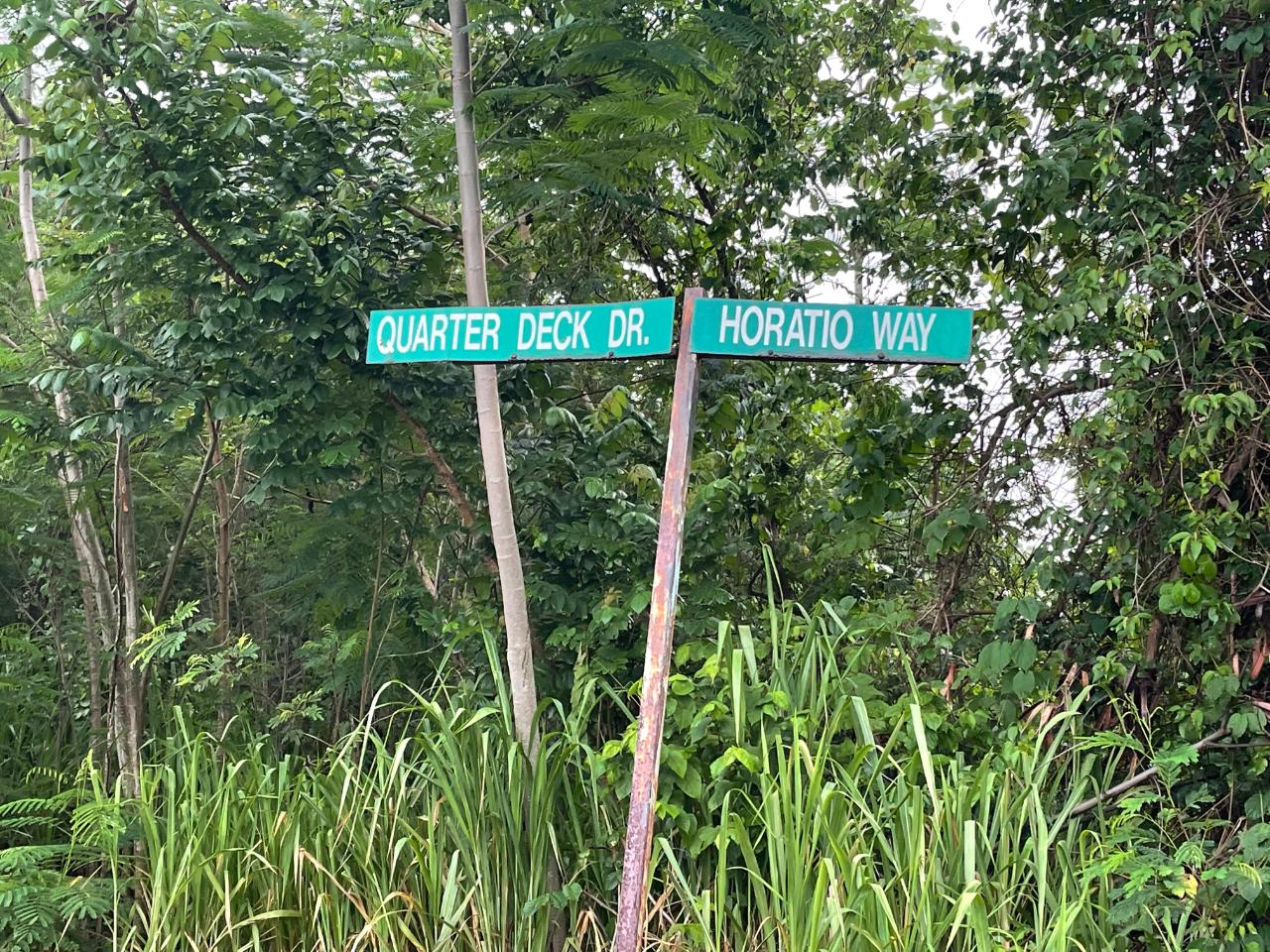 Eleventh image of 348 Horatio Way in Kingston 19, St. Andrew, Jamaica - property is For Sale