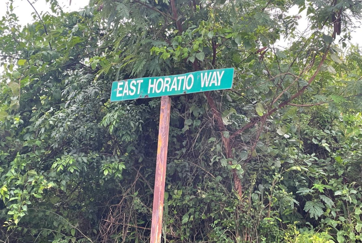 Twelfth image of 348 Horatio Way in Kingston 19, St. Andrew, Jamaica - property is For Sale