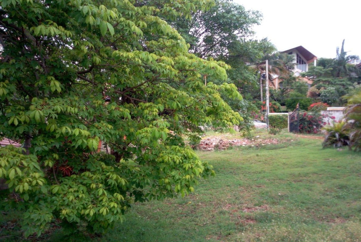 Second image of 26 Victory Avenue in Kingston 19, St. Andrew, Jamaica - property is For Sale