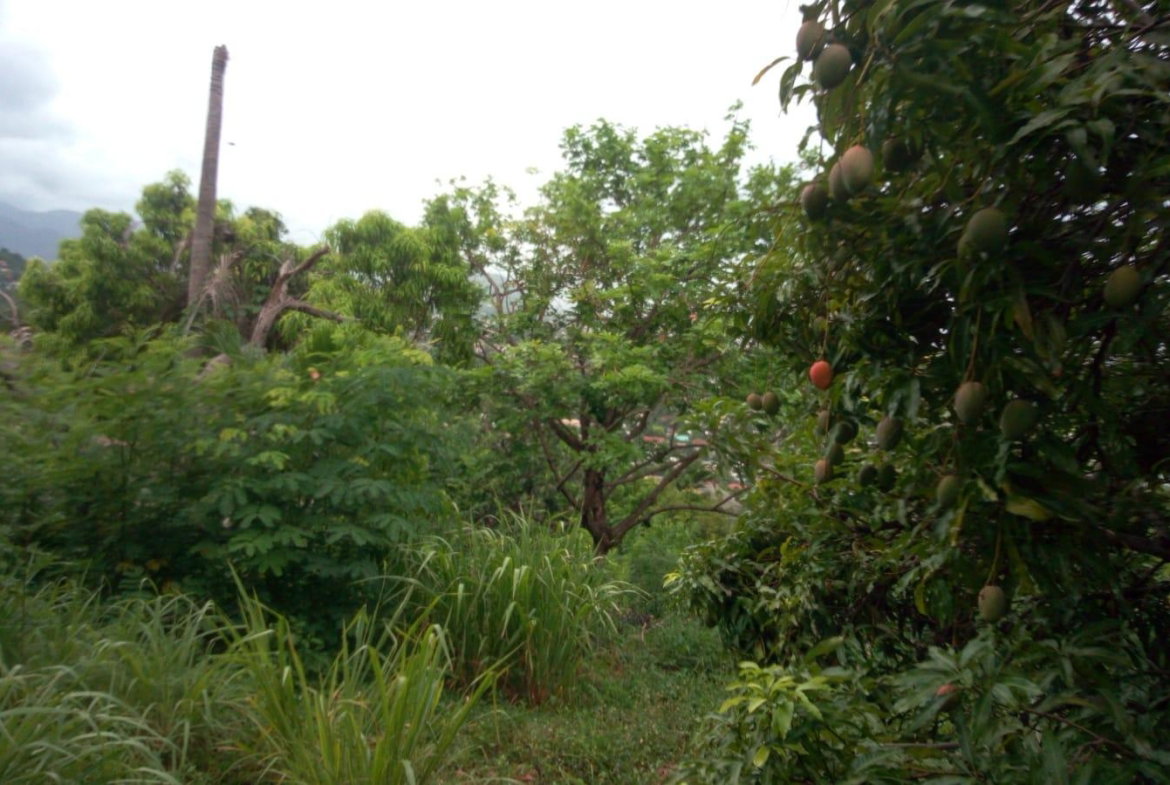 Twelfth image of 26 Victory Avenue in Kingston 19, St. Andrew, Jamaica - property is For Sale