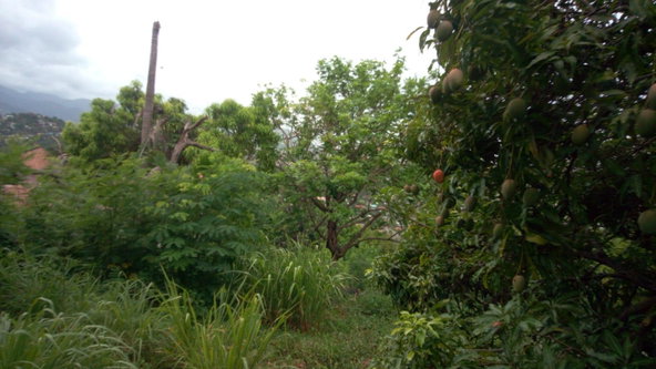 Twelfth image of 26 Victory Avenue in Kingston 19, St. Andrew, Jamaica - property is For Sale
