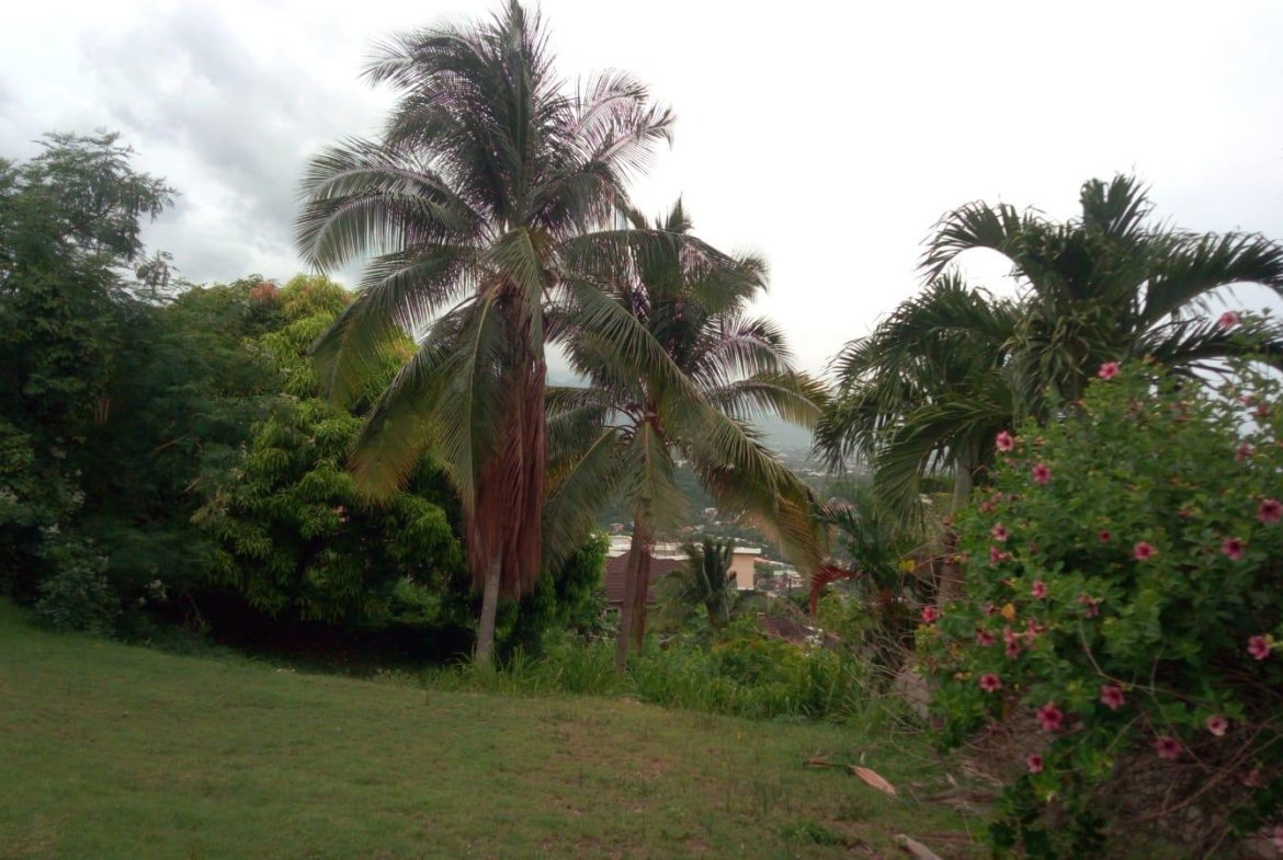Fifteenth image of 26 Victory Avenue in Kingston 19, St. Andrew, Jamaica - property is For Sale