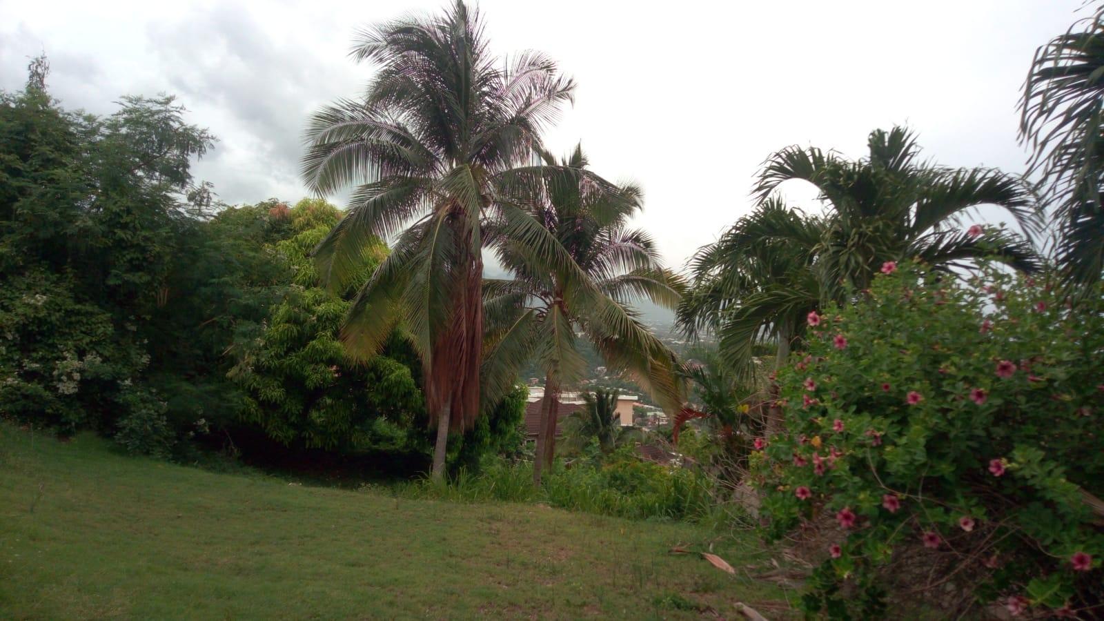Fifteenth image of 26 Victory Avenue in Kingston 19, St. Andrew, Jamaica - property is For Sale