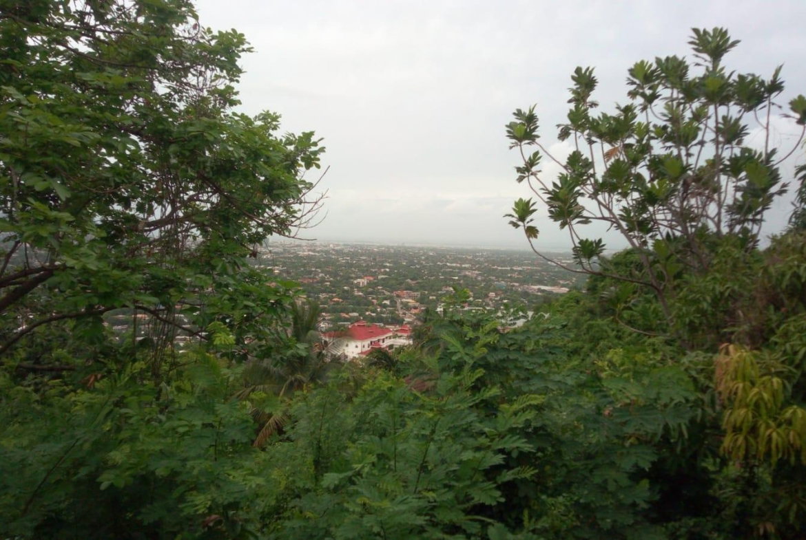 Sixteenth image of 26 Victory Avenue in Kingston 19, St. Andrew, Jamaica - property is For Sale