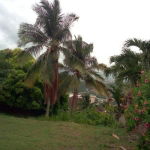 First image of 26 Victory Avenue in Kingston 19, St. Andrew, Jamaica - property is For Sale