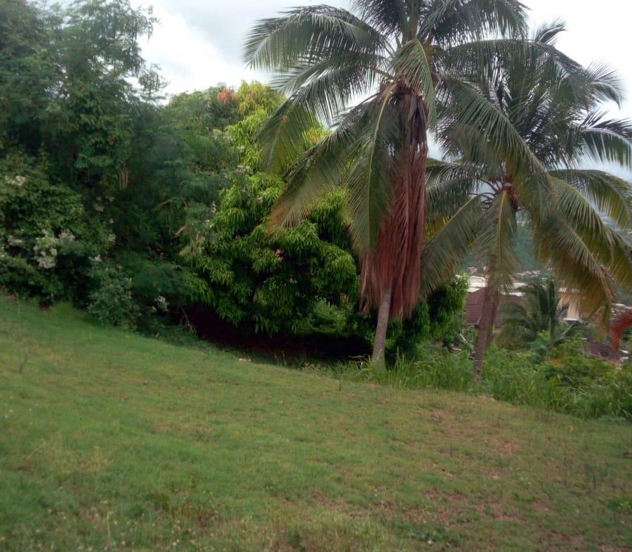 Seventeenth image of 26 Victory Avenue in Kingston 19, St. Andrew, Jamaica - property is For Sale