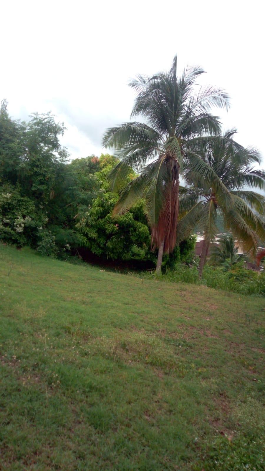 Seventeenth image of 26 Victory Avenue in Kingston 19, St. Andrew, Jamaica - property is For Sale