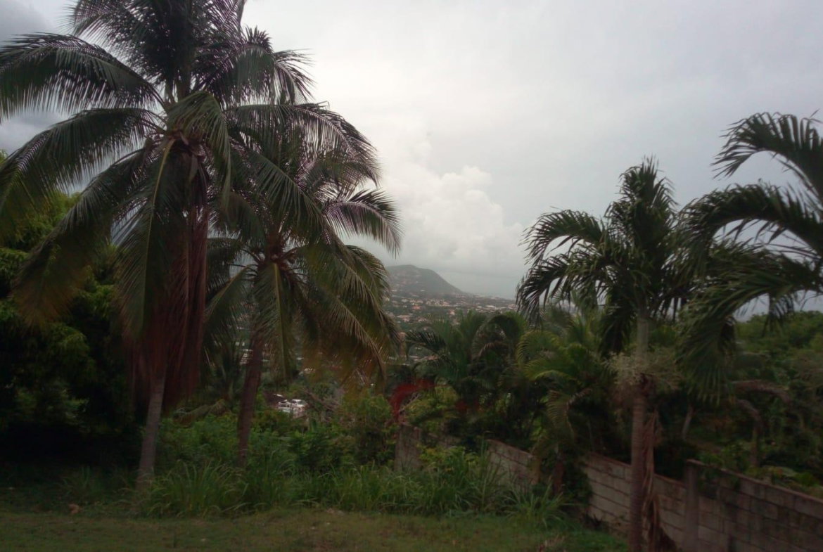 Nineteenth image of 26 Victory Avenue in Kingston 19, St. Andrew, Jamaica - property is For Sale