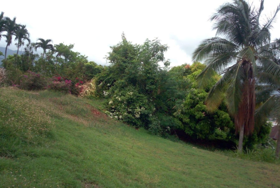 Twentieth image of 26 Victory Avenue in Kingston 19, St. Andrew, Jamaica - property is For Sale