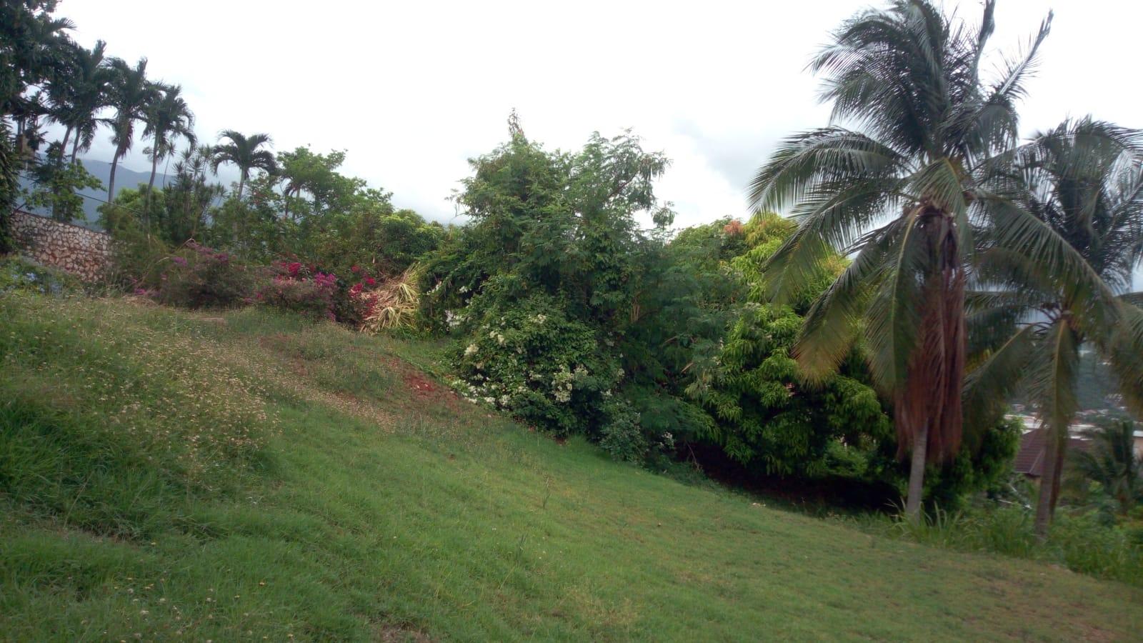 Twentieth image of 26 Victory Avenue in Kingston 19, St. Andrew, Jamaica - property is For Sale