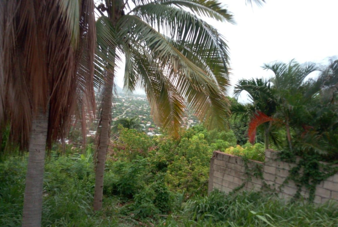 Twenty-First image of 26 Victory Avenue in Kingston 19, St. Andrew, Jamaica - property is For Sale