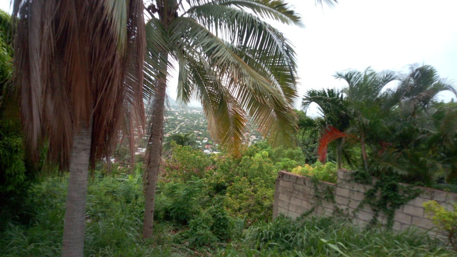 Twenty-First image of 26 Victory Avenue in Kingston 19, St. Andrew, Jamaica - property is For Sale