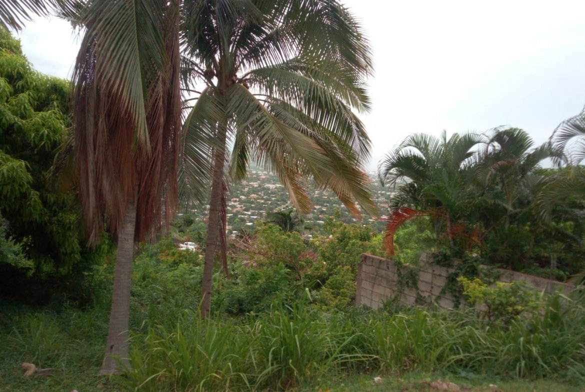 Twenty-Third image of 26 Victory Avenue in Kingston 19, St. Andrew, Jamaica - property is For Sale