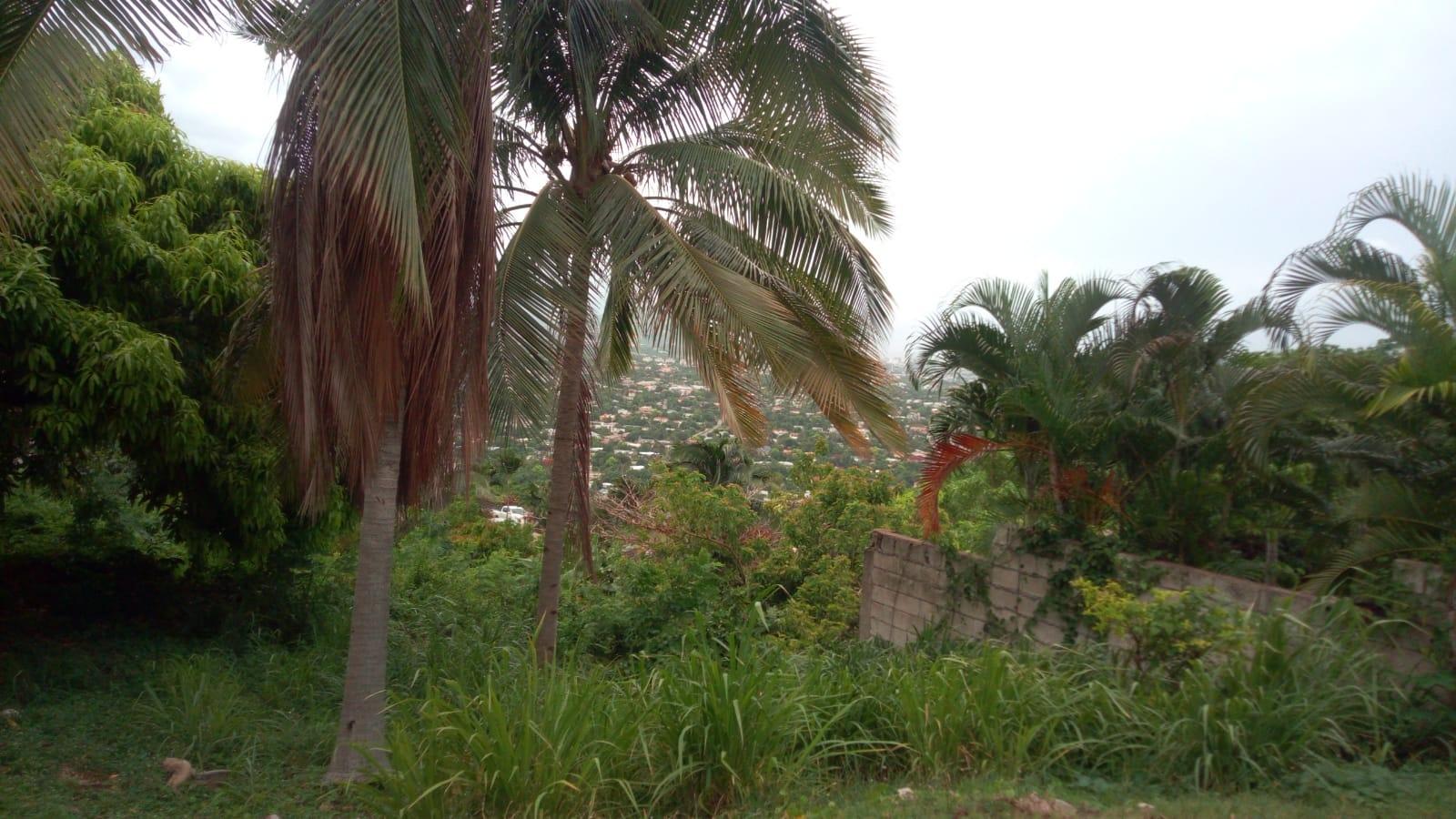 Twenty-Third image of 26 Victory Avenue in Kingston 19, St. Andrew, Jamaica - property is For Sale