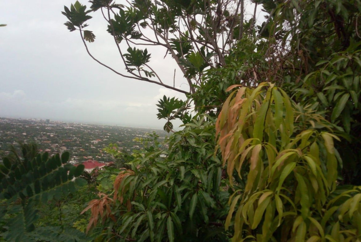 Fourth image of 26 Victory Avenue in Kingston 19, St. Andrew, Jamaica - property is For Sale