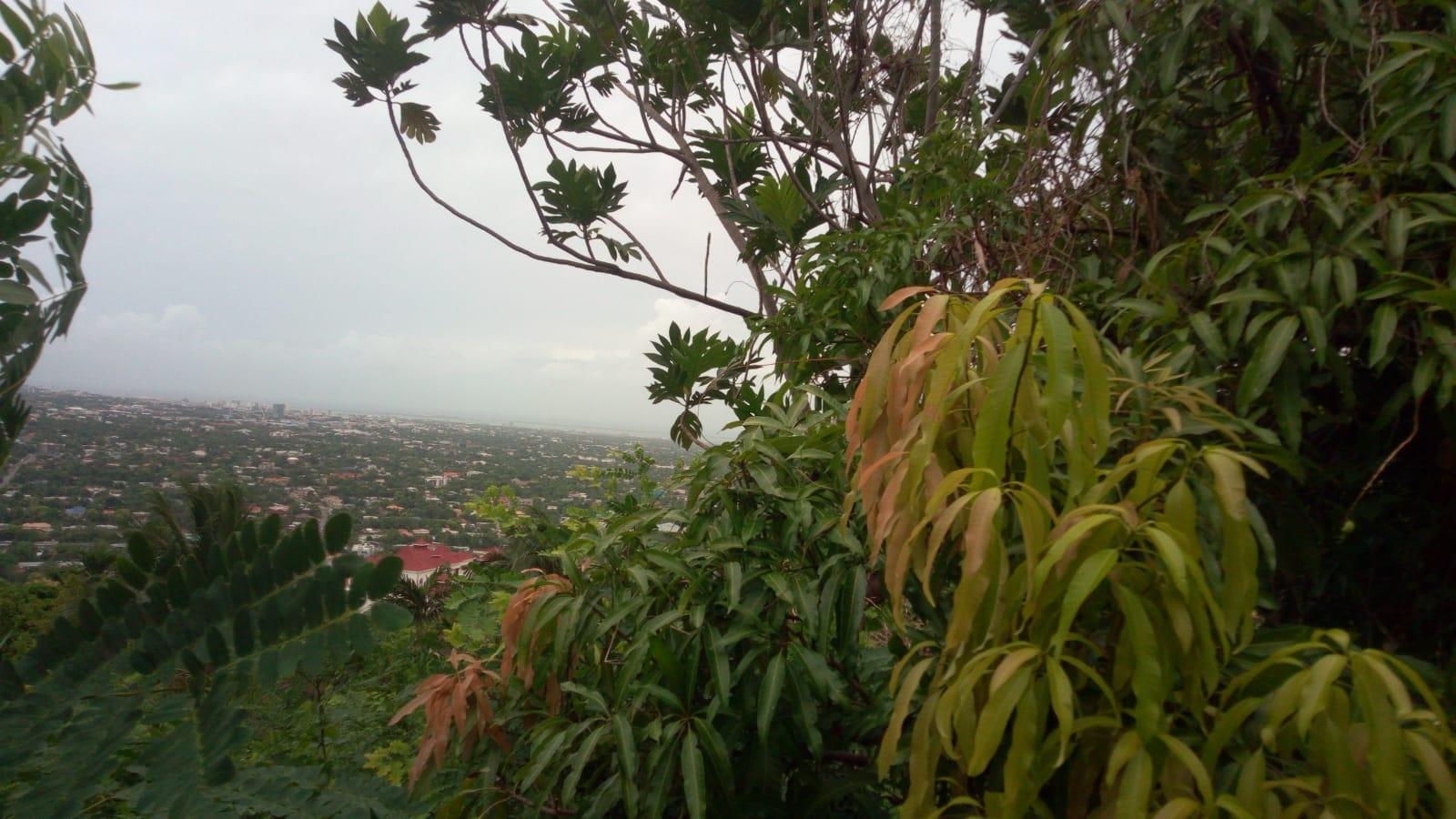 Fourth image of 26 Victory Avenue in Kingston 19, St. Andrew, Jamaica - property is For Sale