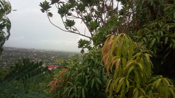 Fourth image of 26 Victory Avenue in Kingston 19, St. Andrew, Jamaica - property is For Sale