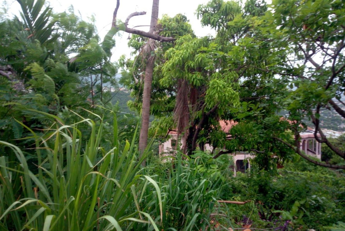 Fifth image of 26 Victory Avenue in Kingston 19, St. Andrew, Jamaica - property is For Sale