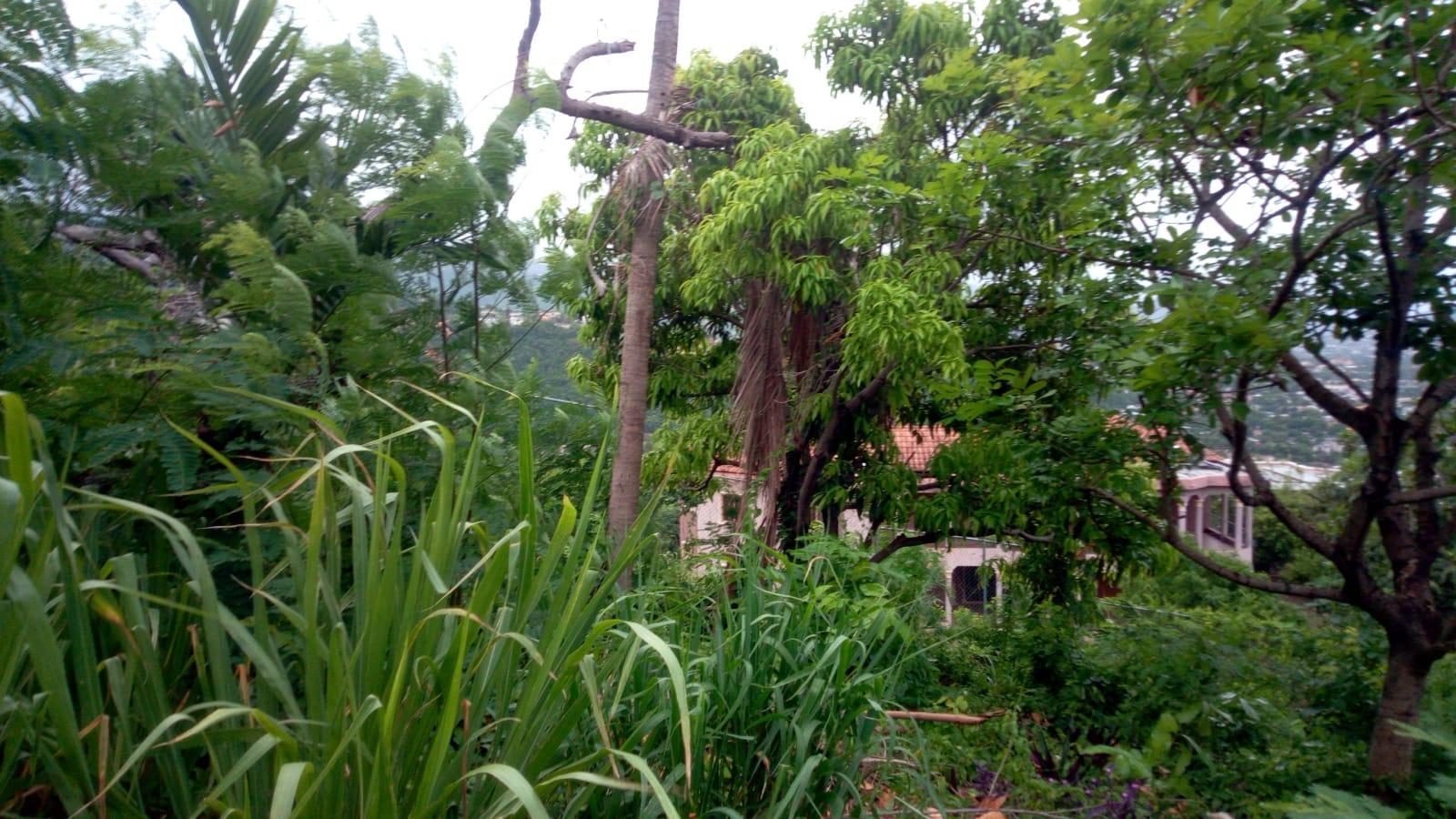 Fifth image of 26 Victory Avenue in Kingston 19, St. Andrew, Jamaica - property is For Sale