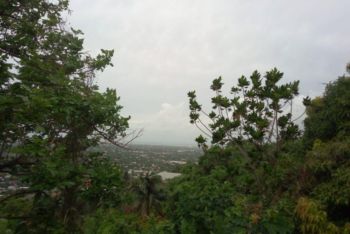 Sixth image of 26 Victory Avenue in Kingston 19, St. Andrew, Jamaica - property is For Sale