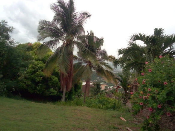 First image of 26 Victory Avenue in Kingston 19, St. Andrew, Jamaica - property is For Sale