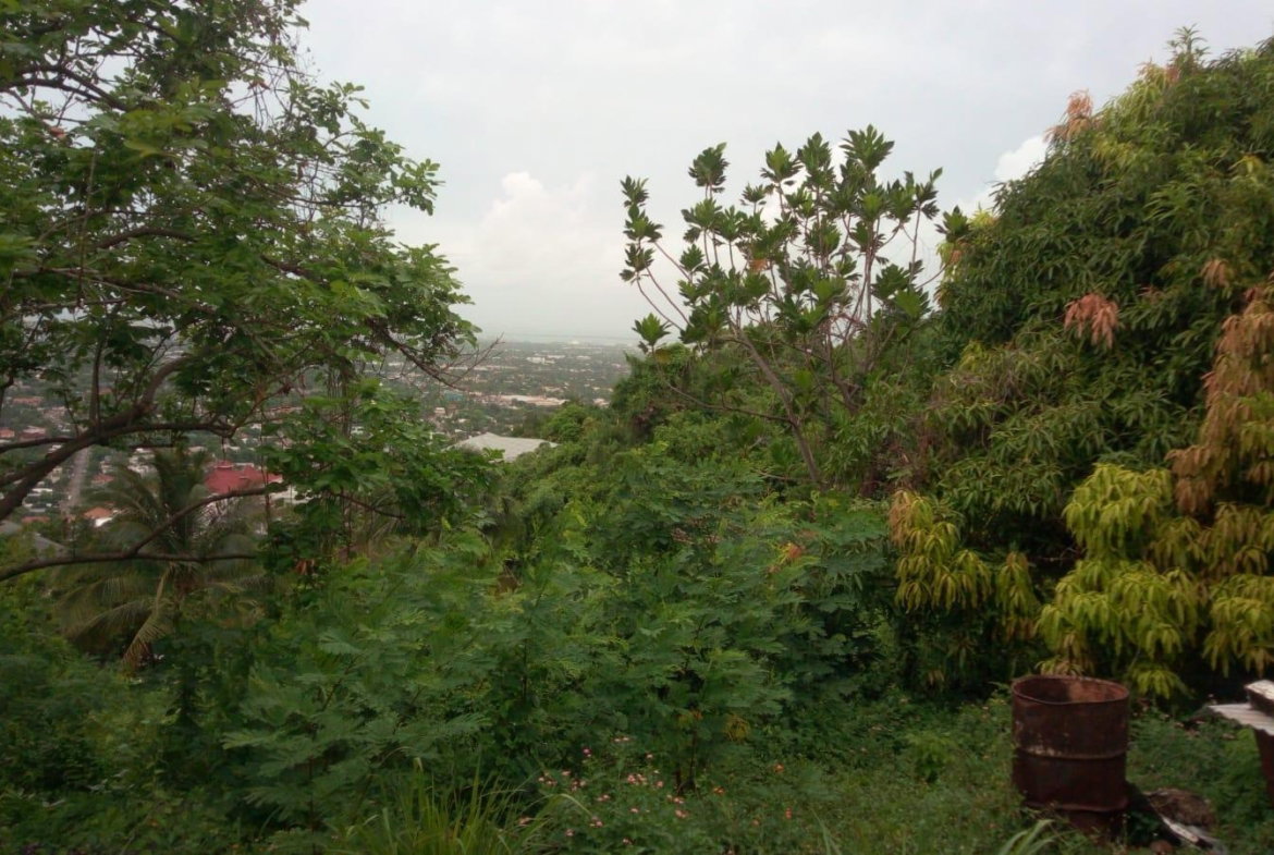 Ninth image of 26 Victory Avenue in Kingston 19, St. Andrew, Jamaica - property is For Sale