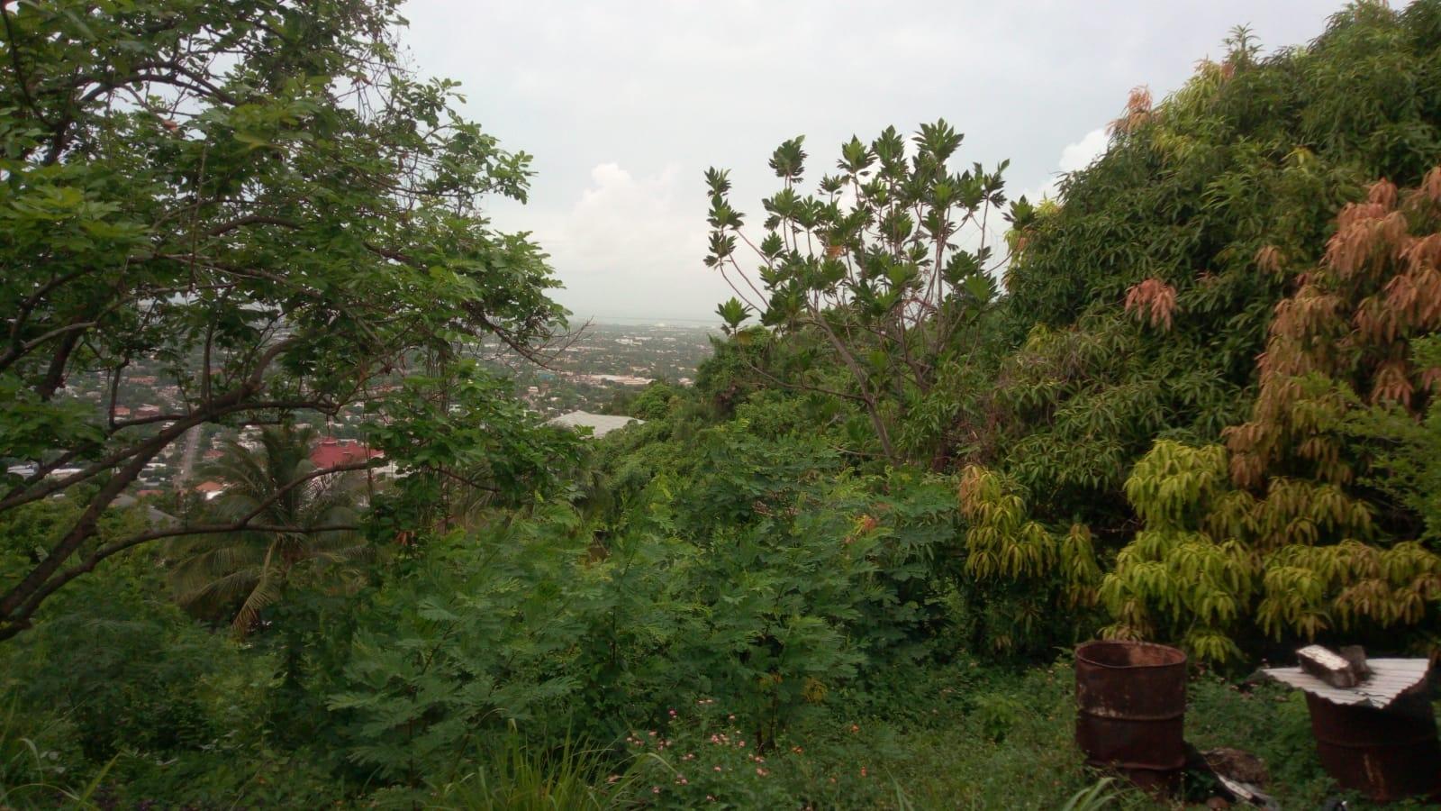 Ninth image of 26 Victory Avenue in Kingston 19, St. Andrew, Jamaica - property is For Sale