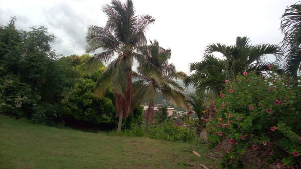 First image of 26 Victory Avenue in Kingston 19, St. Andrew, Jamaica - property is For Sale