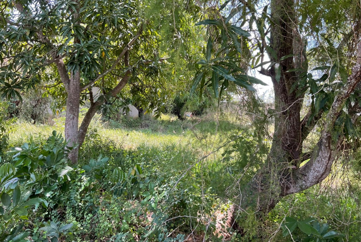 Sixth image of 19 Glenmuir Drive in May Pen, Clarendon, Jamaica - property is For Sale