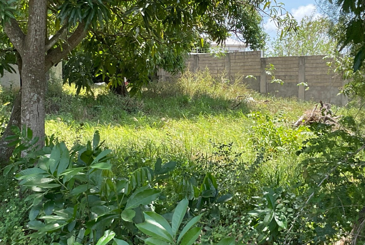 Seventh image of 19 Glenmuir Drive in May Pen, Clarendon, Jamaica - property is For Sale