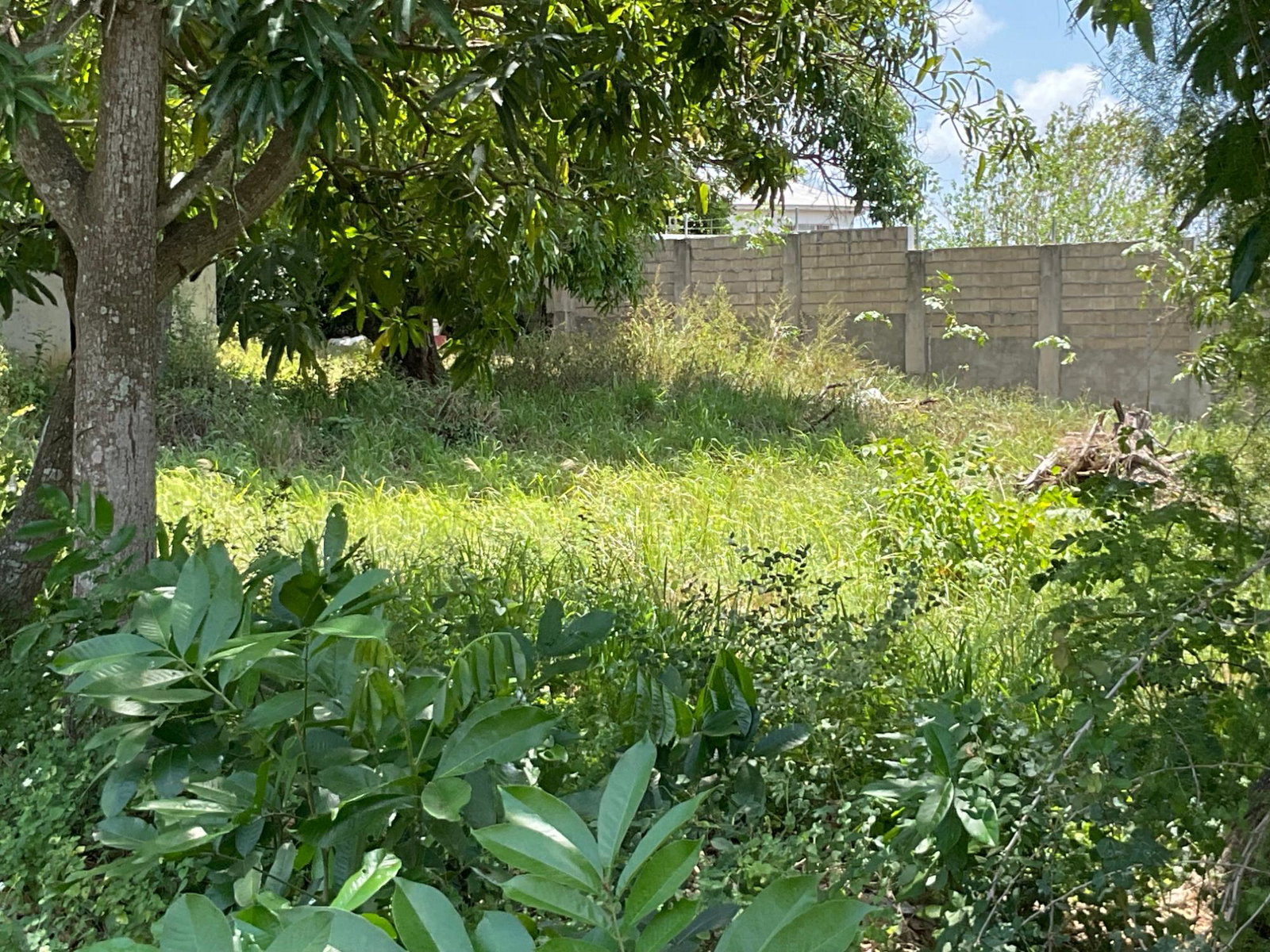 Prime-Residential-Lot-for-Sale-in-Clarendon-Build-Your-Dream-Home Seventh image of 19 Glenmuir Drive in May Pen, Clarendon, Jamaica - property is For Sale