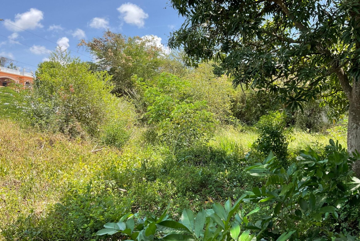 Eighth image of 19 Glenmuir Drive in May Pen, Clarendon, Jamaica - property is For Sale