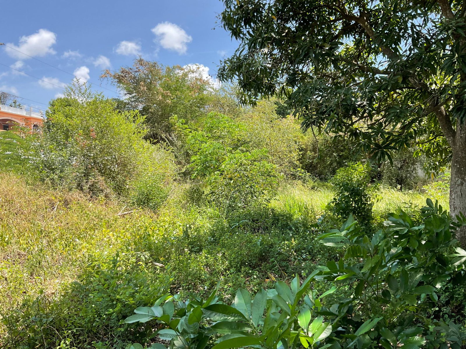 Prime-Residential-Lot-for-Sale-in-Clarendon-Build-Your-Dream-Home Eighth image of 19 Glenmuir Drive in May Pen, Clarendon, Jamaica - property is For Sale