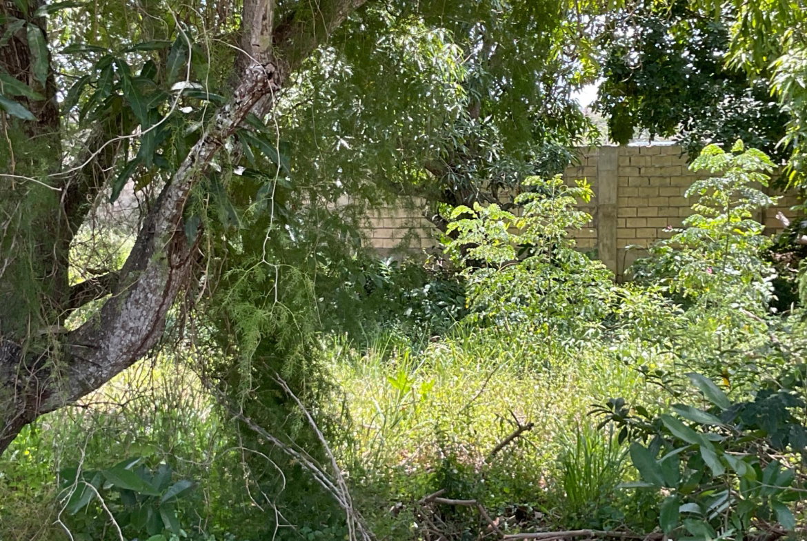 Ninth image of 19 Glenmuir Drive in May Pen, Clarendon, Jamaica - property is For Sale