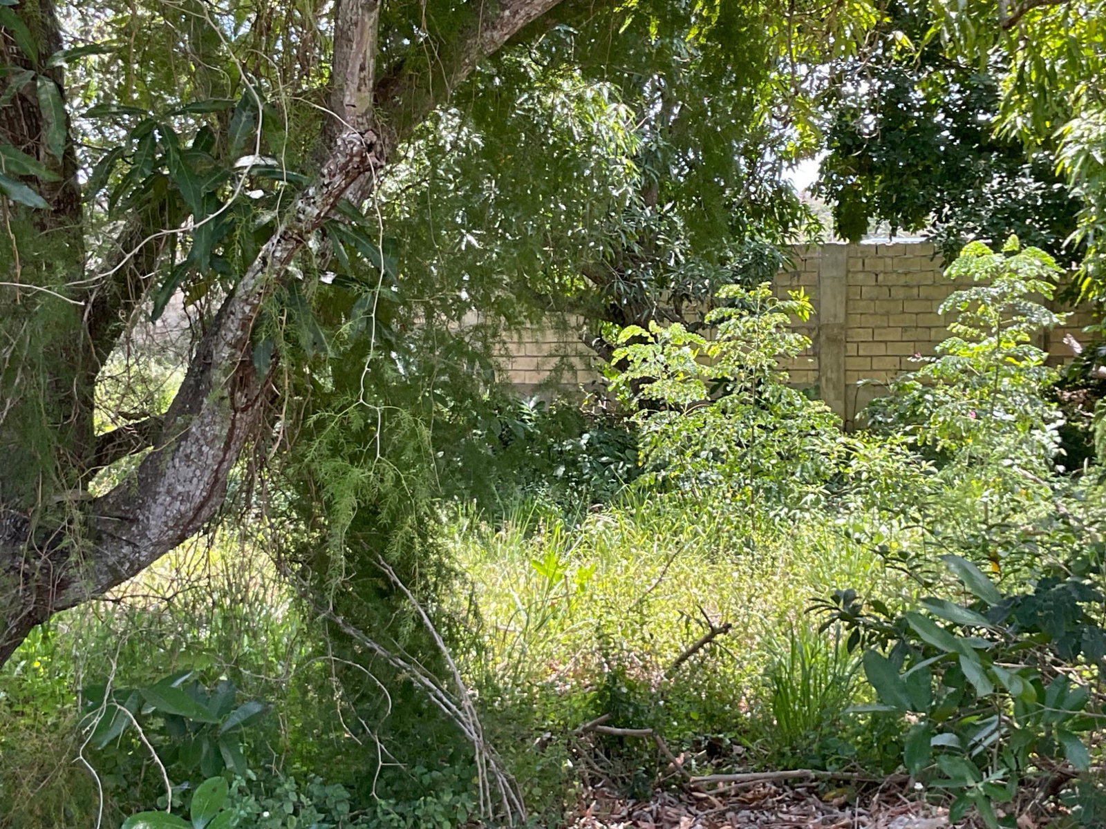 Prime-Residential-Lot-for-Sale-in-Clarendon-Build-Your-Dream-Home Ninth image of 19 Glenmuir Drive in May Pen, Clarendon, Jamaica - property is For Sale