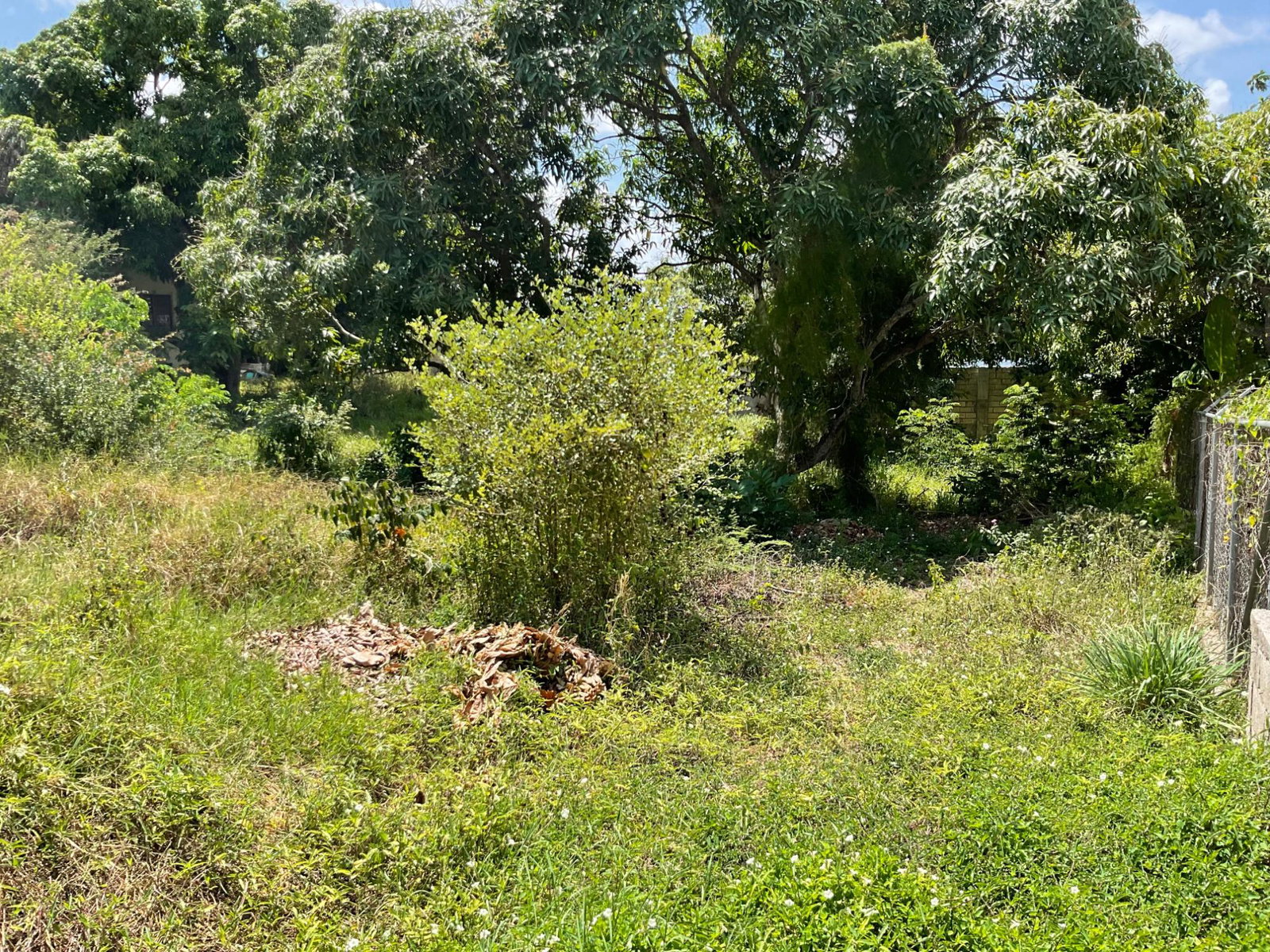 Prime-Residential-Lot-for-Sale-in-Clarendon-Build-Your-Dream-Home Tenth image of 19 Glenmuir Drive in May Pen, Clarendon, Jamaica - property is For Sale