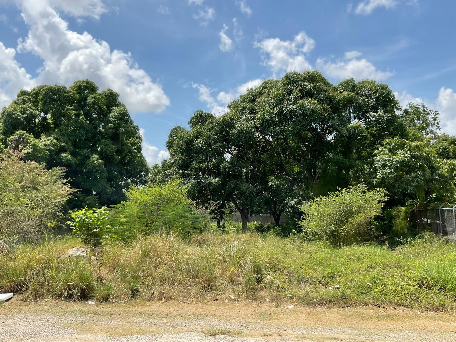Prime-Residential-Lot-for-Sale-in-Clarendon-Build-Your-Dream-Home Eleventh image of 19 Glenmuir Drive in May Pen, Clarendon, Jamaica - property is For Sale