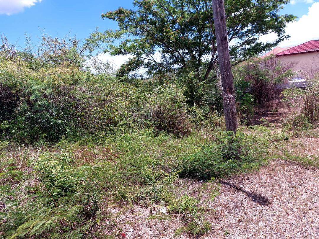 Prime-Residential-Lot-for-Sale-in-Clarendon-Build-Your-Dream-Home Fourth image of 222 Inglewood Mews in May Pen, Clarendon, Jamaica - property is For Sale