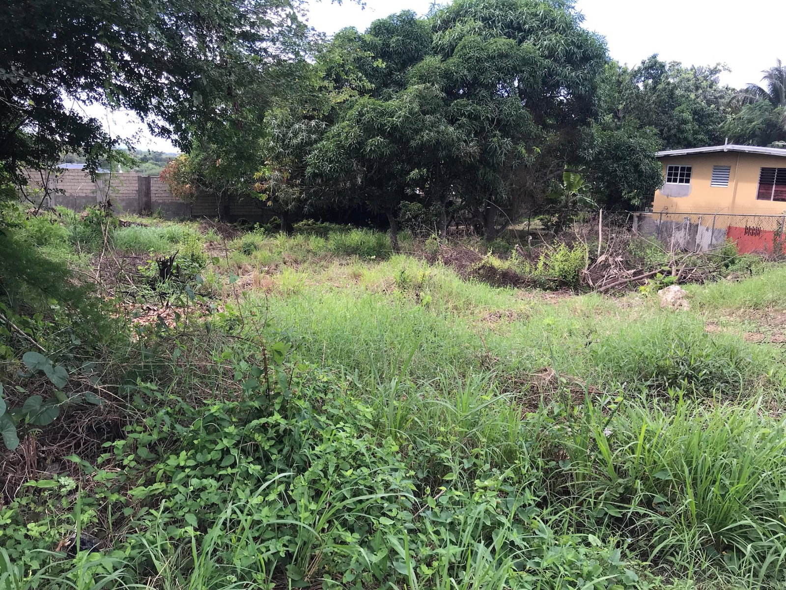 Prime-Residential-Lot-for-Sale-in-Clarendon-Build-Your-Dream-Home Second image of 19 Glenmuir Drive in May Pen, Clarendon, Jamaica - property is For Sale