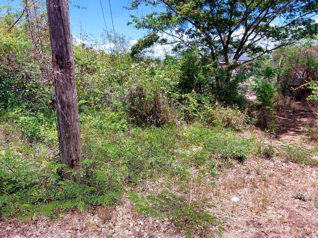 Prime-Residential-Lot-for-Sale-in-Clarendon-Build-Your-Dream-Home First image of 222 Inglewood Mews in May Pen, Clarendon, Jamaica - property is For Sale