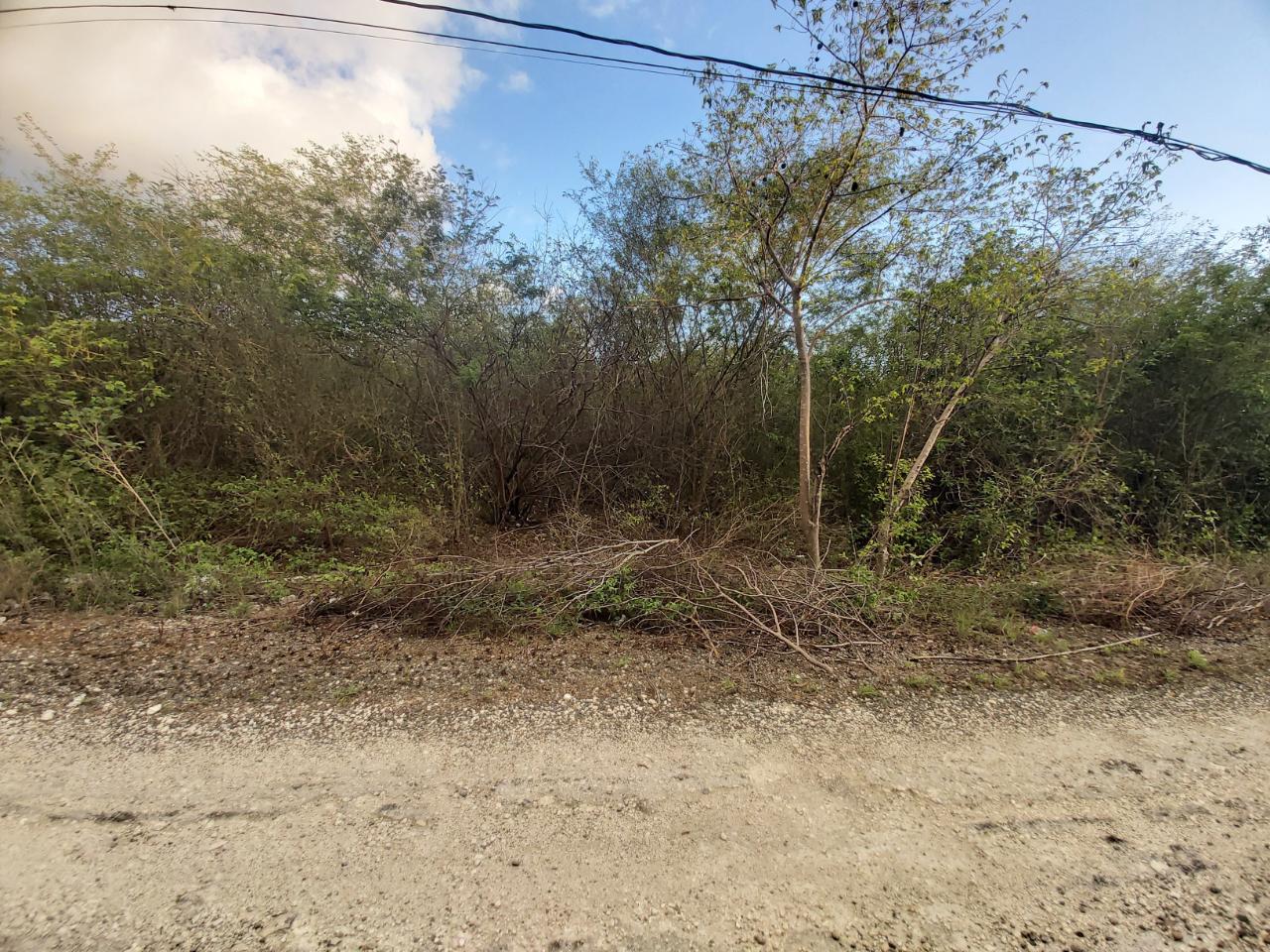 Fifth image of 64 Pacific Avenue in Tobby Heights, Clarendon, Jamaica - property is For Sale